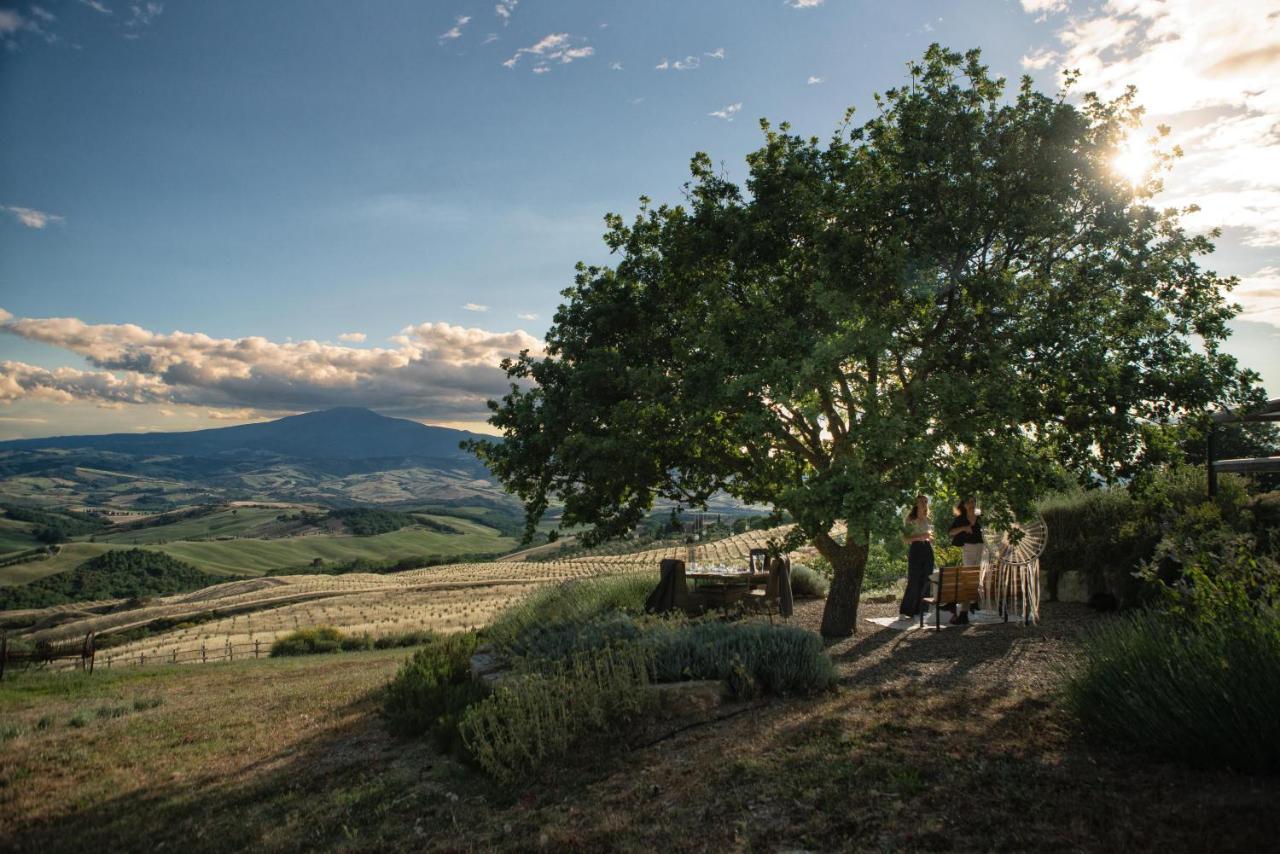 Podere Val D'Orcia - Tuscany Equestrian ซาร์เตอาโน ภายนอก รูปภาพ