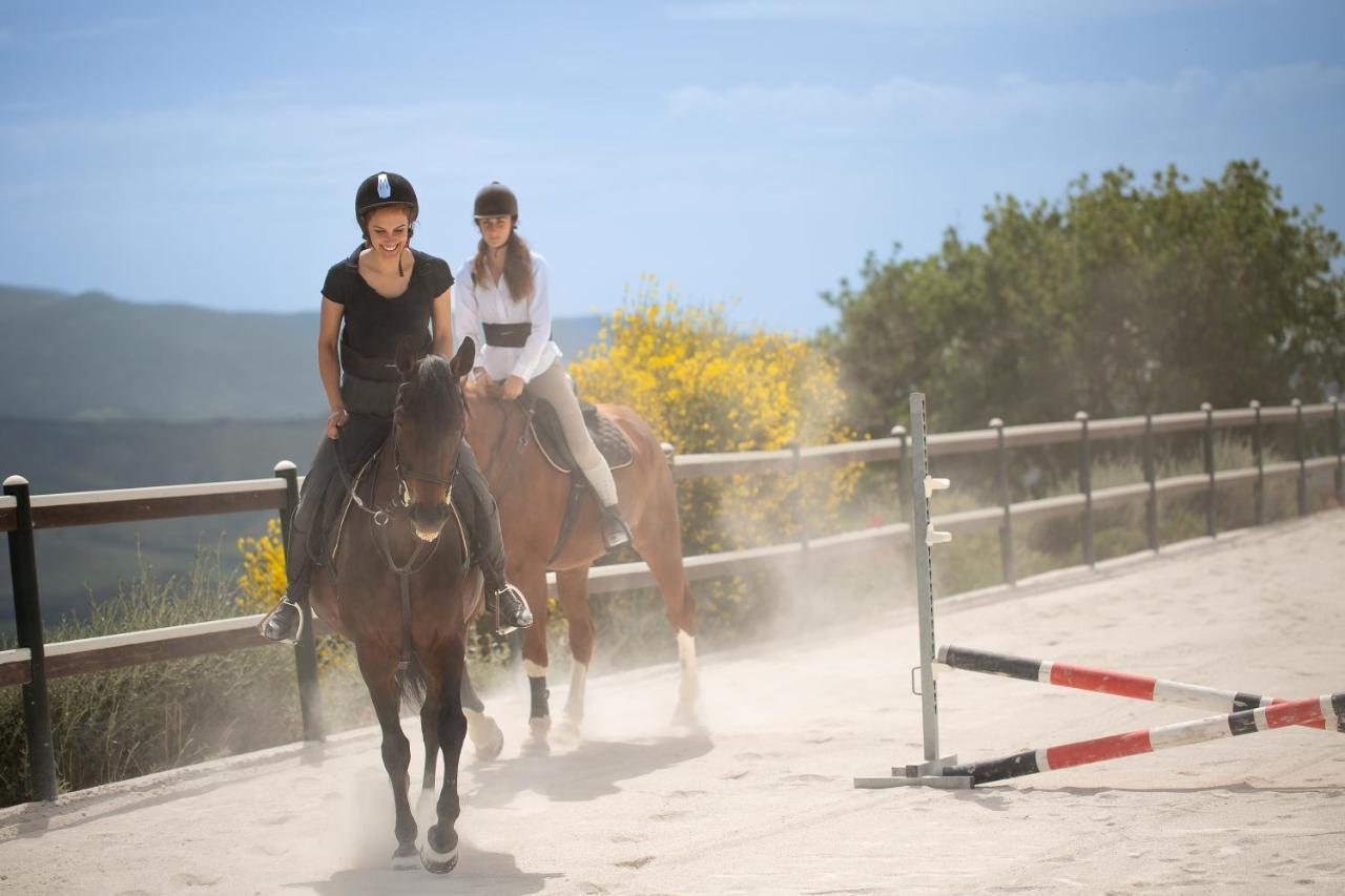 Podere Val D'Orcia - Tuscany Equestrian ซาร์เตอาโน ภายนอก รูปภาพ