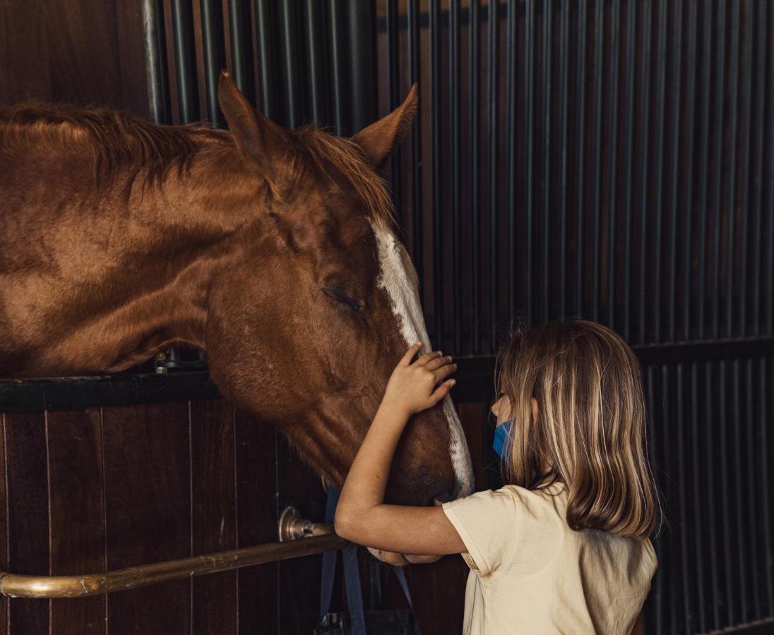 Podere Val D'Orcia - Tuscany Equestrian ซาร์เตอาโน ภายนอก รูปภาพ