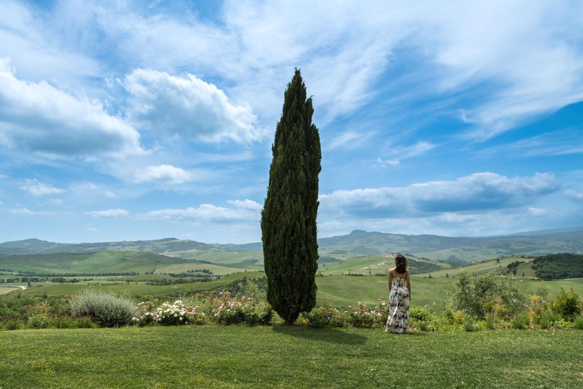 Podere Val D'Orcia - Tuscany Equestrian ซาร์เตอาโน ภายนอก รูปภาพ